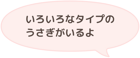 いろいろなタイプのうさぎがいるよ吹き出し