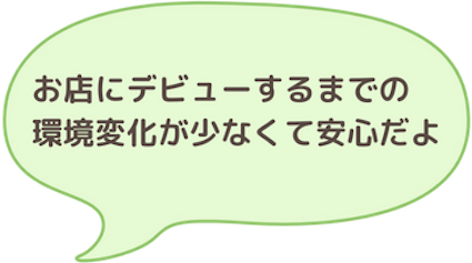 お店にデビューするまでの環境変化が少なくて安心だよ吹き出し